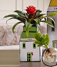 Декор для кухни