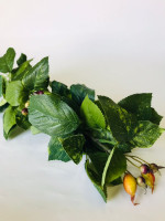 Гілка шипшини, h-74 см