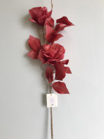 Троянда коралова, h-80 см