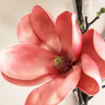 Букет магнолія з листям, h-105, 3 гілки, коралова