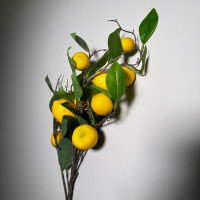 Гілка лимони, h-90, зелено/жовта