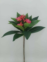 Гілка плюмеріїі, h - 92 см