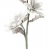 Декоративна гілка "Магнолія" h-98, біла