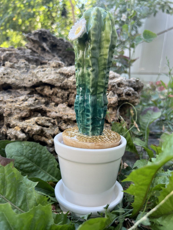 Статуетка "Кактус" h-20