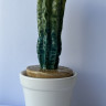 Статуетка "Кактус" h-20