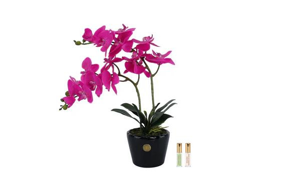 Парфумований букет "Double Orchid” фуксія