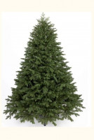 Ялинка  зелена 
