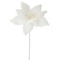 Квітка біла d-50