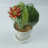 Статуетка "Кактус" h-16