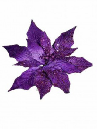 Цветок Пуансетия, фиолетовый