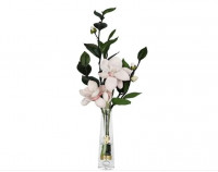 Парфумований букет “Pink Magnolia” колір золото