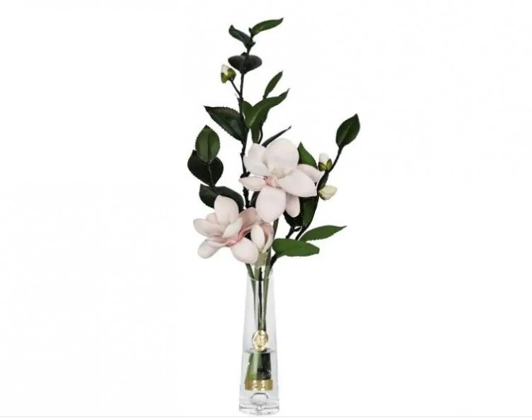 Парфумований букет “Pink Magnolia” колір золото