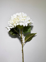 Гілка гортензії, h-105, біла