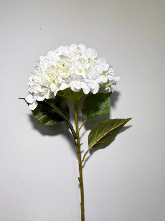 Гілка гортензії, h-105, біла