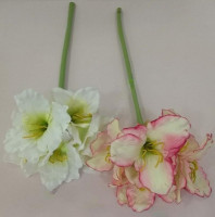 Лілія пасльонова h-86 см