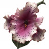 Статуэтка "Лиловая орхидея" l-18 см
